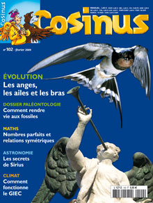Evolution : les anges, les ailes et les bras